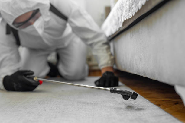 Professional Termite Control technician working in Baxter County County, AR